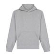 thumbnail image 1 of SF Minni Boys/Girls Sustainable Hoodie, 1 of 1