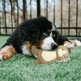 thumbnail image 3 of GiGwi 12" Squeaker with Rope Cozy Horse Dog Toy, 3 of 5