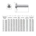 thumbnail image 4 of Tornillos con cabeza de botón Instockbolts 1/4-20 x3/4, 50 unidades, 4 of 5