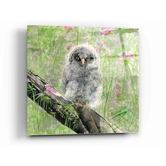 Epic Art 'Owlet' by River Han, Acrylic Glass Wall Art, 12"x12"
