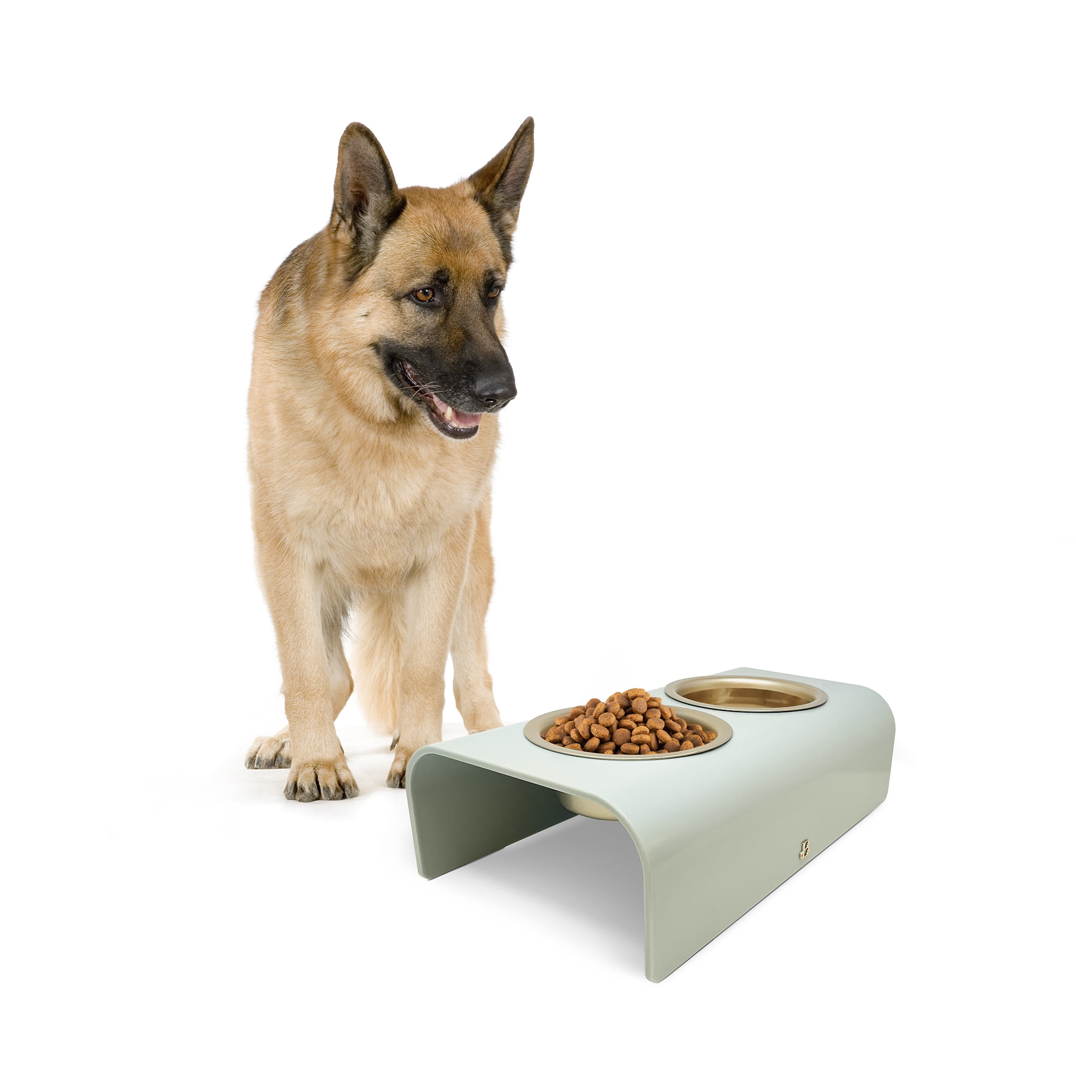 Beautiful Double Elevated Stainless Steel Pet Bowl, 4-Cup, Sage by Drew Barrymore