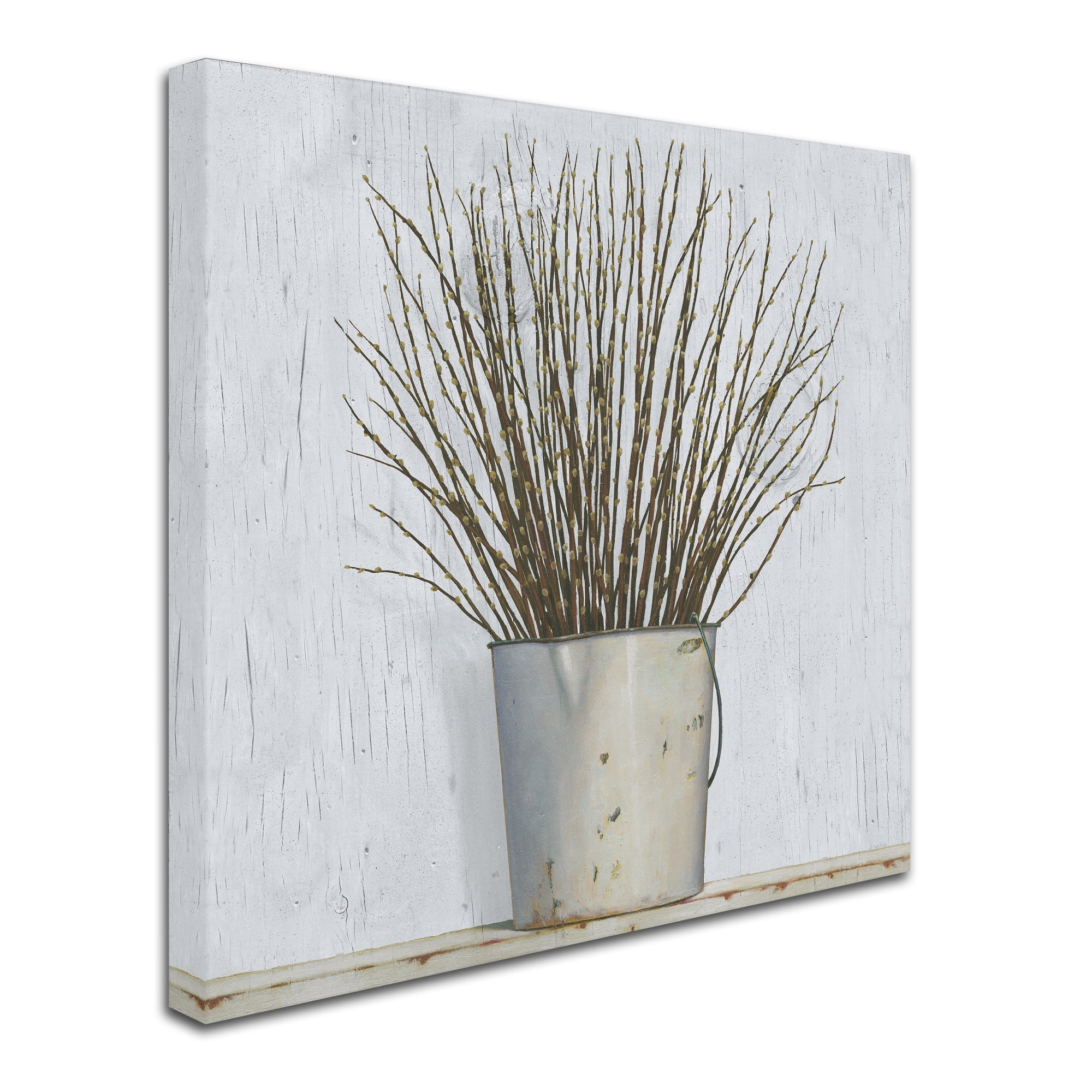 Trademark Fine Art 'Early Spring' Canvas Art by James Wiens