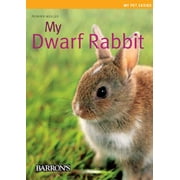 My Dwarf Rabbit