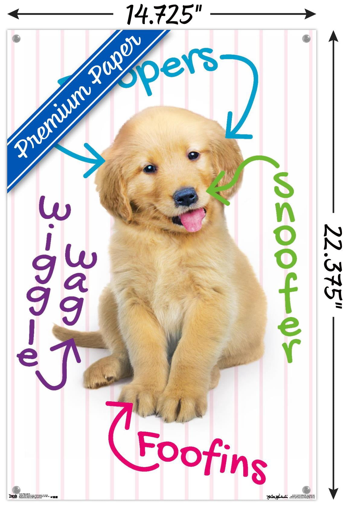Keith Kimberlin - Puppy - Pup-A-Gram Wall Poster with Push Pins, 14.725" x 22.375"