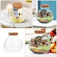 thumbnail image 3 of SEWCHICS Terrarium Rond en Verre Transparent avec Couvercle en Liège pour Succulentes en Mousse et Présentation de Micro-Paysage, 3 of 8