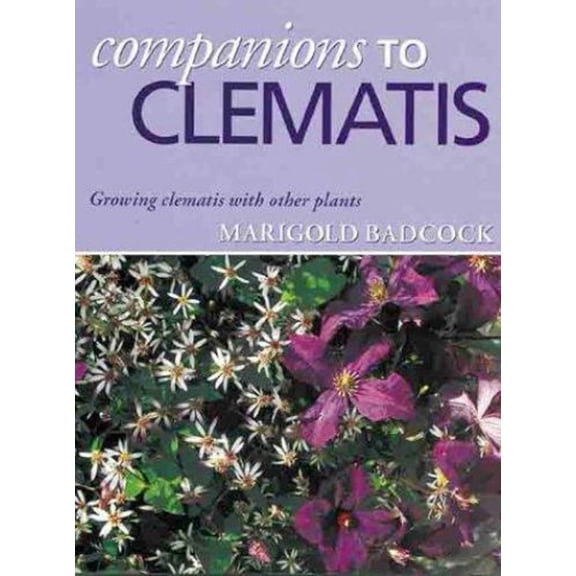 Pre-Owned Companions to Clematis : Growing Clematis with Other Plants (Paperback) 9781861081513