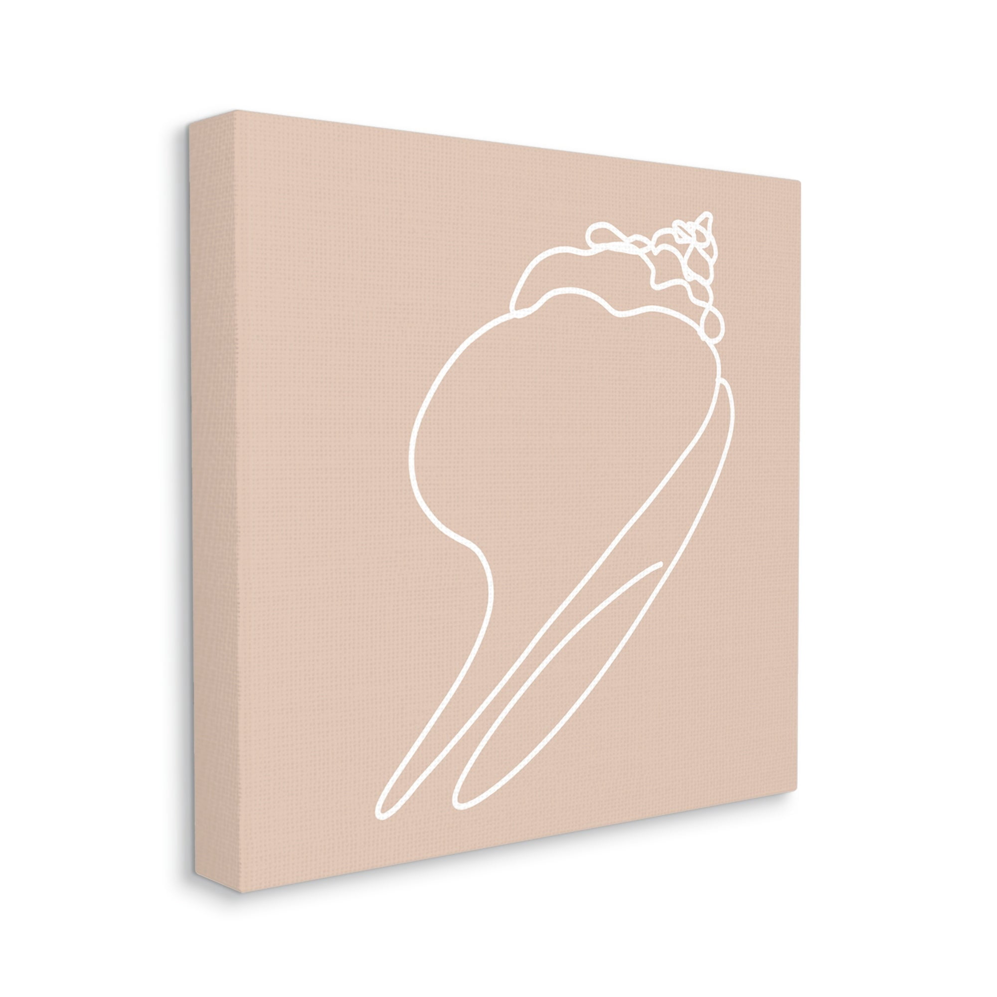 Stupell Industries Sea Shell Beach Ocean Life Line Drawing Graphic Art Gallery Wrapped Canvas Print Wall Art, Design by Daphne Polselli