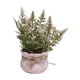 thumbnail image 2 of Plantas Artificiales De Plástico En Maceta Planta de helecho artificial en maceta, planta rosa falsa, decoración del hogar, decoración de oficina, accesorio de fotografía (1 unidad) JASKFLY, 2 of 9