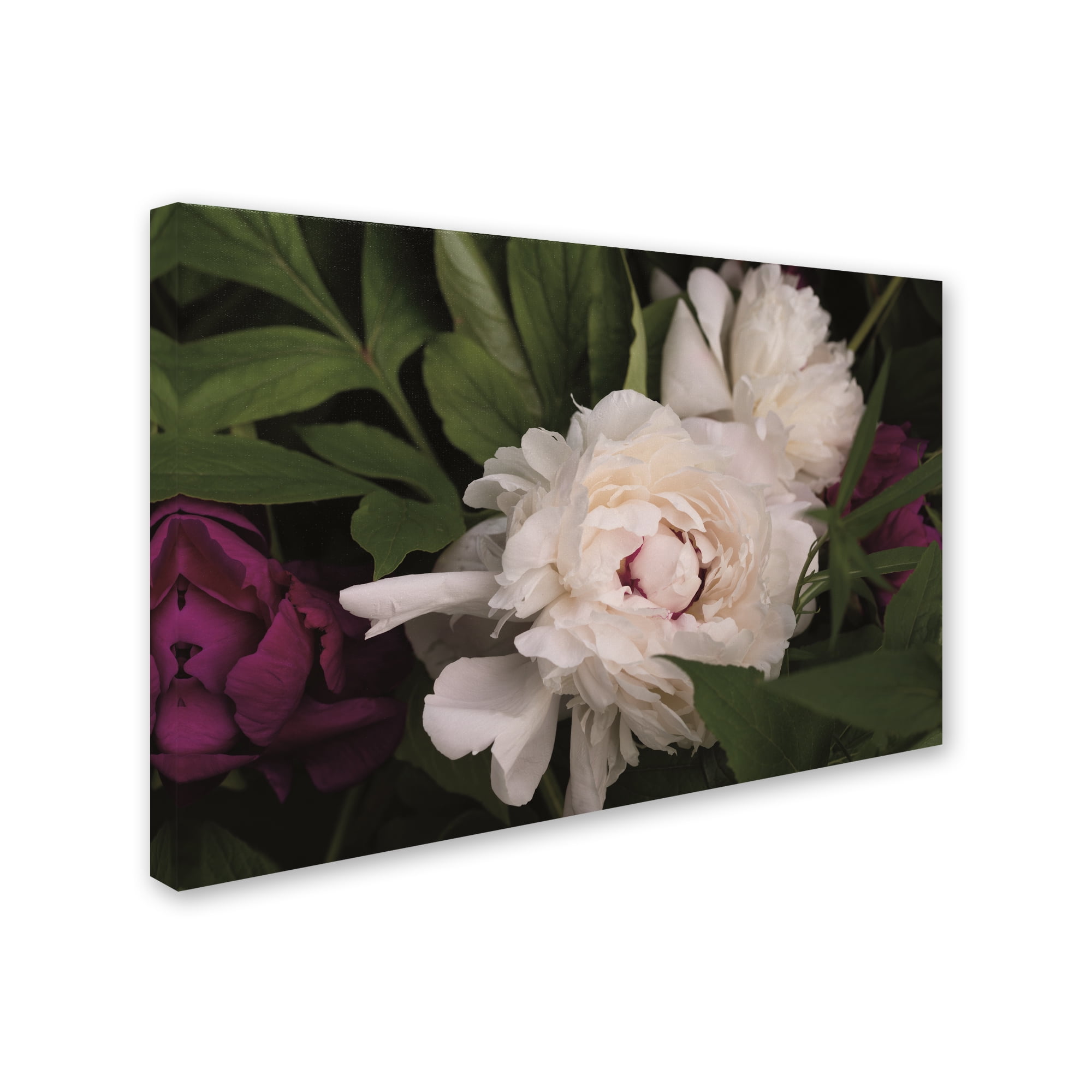 Trademark Fine Art 'Peonies I' Canvas Art by Brookview Studio
