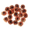 thumbnail image 2 of 20 Piezas de Tul Artesanal Rosa 18 Mm / 0,71 Pulgadas para Bricoje zos para El Cabello Diadema Artesanía / Decoración naranja BLESIY Chiffon tela flores color de rosa, 2 of 7