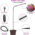 thumbnail image 3 of Indoor Plant Grow Light, Full Spectrum Gooseneck Plant Light for Small Plants for Sowing, Automatic Timer, 3 of 5