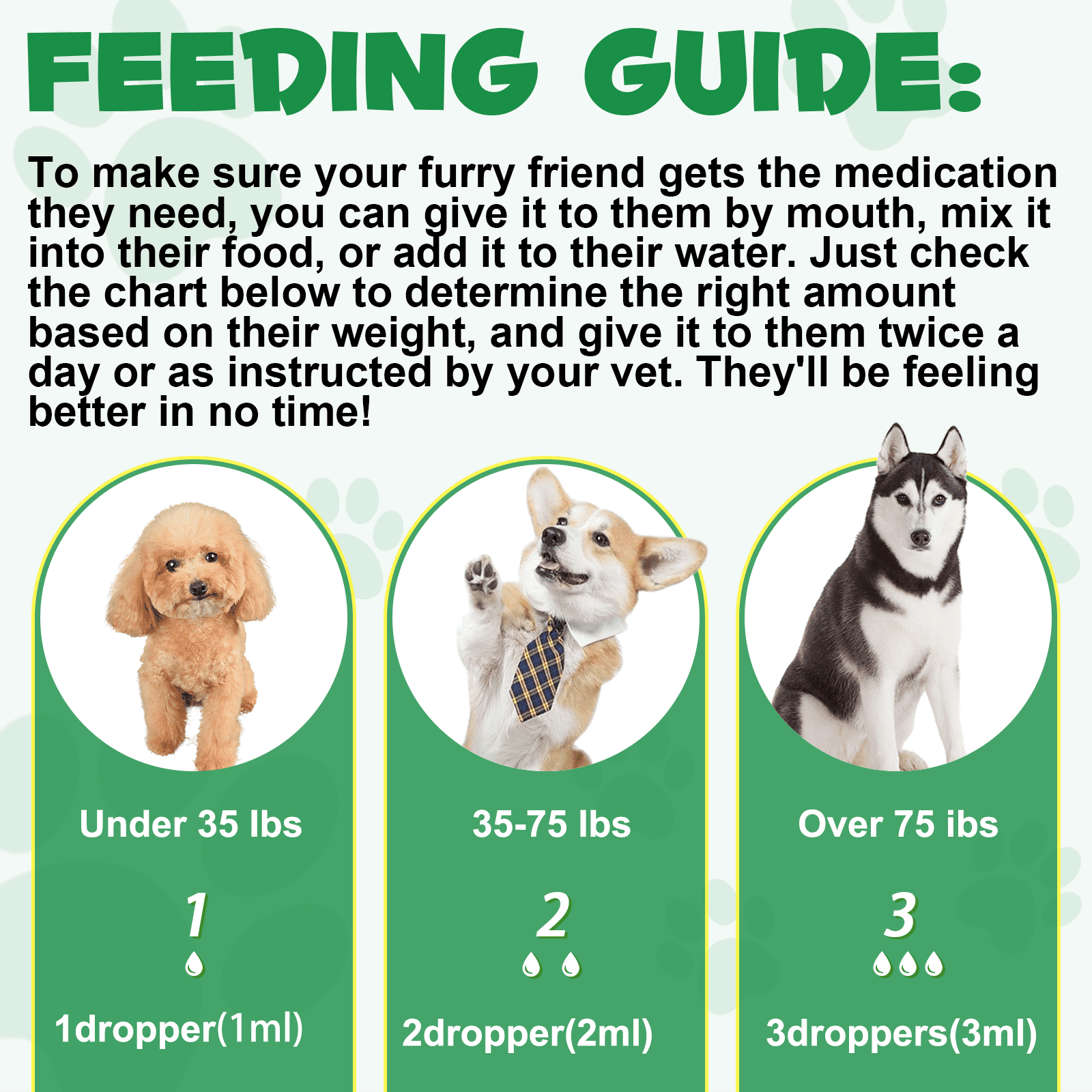 Oimmal Dog Digestive Comfort Liquid with Probiotics, Alcohol-Free, Daily Treats for Dogs - 2 oz(60ml) (3 Pack)