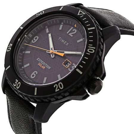the bay timex