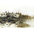 thumbnail image 2 of The Great Halifax Explosion Print By Mary Evans Grenville Collins Postcard Collection, 2 of 4