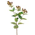 thumbnail image 4 of 29" Burgundy Hypericum Berry Artificial Floral Spray, 4 of 7