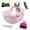【Purple】, variant on 15.1"x11.0" Large Rabbit Litter Box Plastic Square Rabbits Pottyer With Bigger Pan Bunny Corner Toilet Smalll Disposable Liner For Guinea Pigs Hamster Chinchilla(orange)