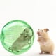 thumbnail image 3 of Pelota para correr de hámster de 10CM, pelota de ejercicio para correr, Mini pelota para animales pequeños y mascotas (verde), 3 of 4