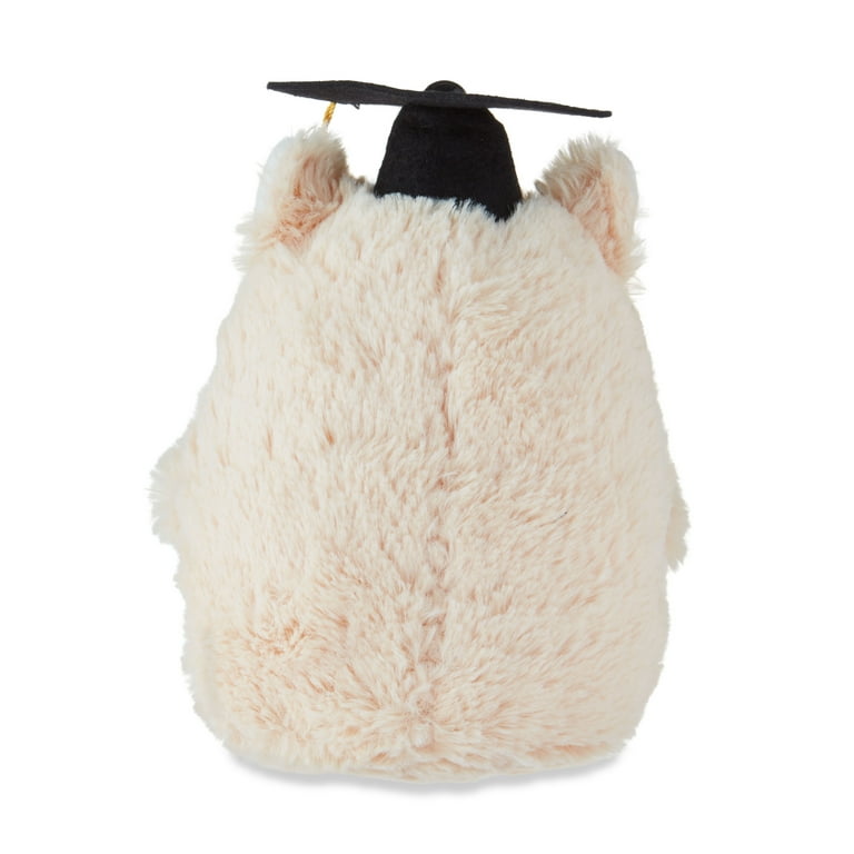 Graduation Small Brown Class of 2025 Owl Plush with Gift Card Holder, 9", by Way To Celebrate
