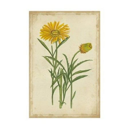 15 Poster Print - Curtis Blooms in Yellow III Poster Print by Vision studio (10 x 15)