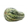 thumbnail image 2 of Seed Pack = Cushaw Squash - 25 Seeds- Vegetable seed --All Natural -  Dependable Heirloom- Seed Pack- Serendipity Seeds, 2 of 3