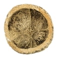 thumbnail image 3 of Vickerman Half Bleached Mayan Coconut 3" Wide, Real Preserved Coconut Decor for Home or Everyday Arrangements, 10 Pieces Per Pack, 3 of 5