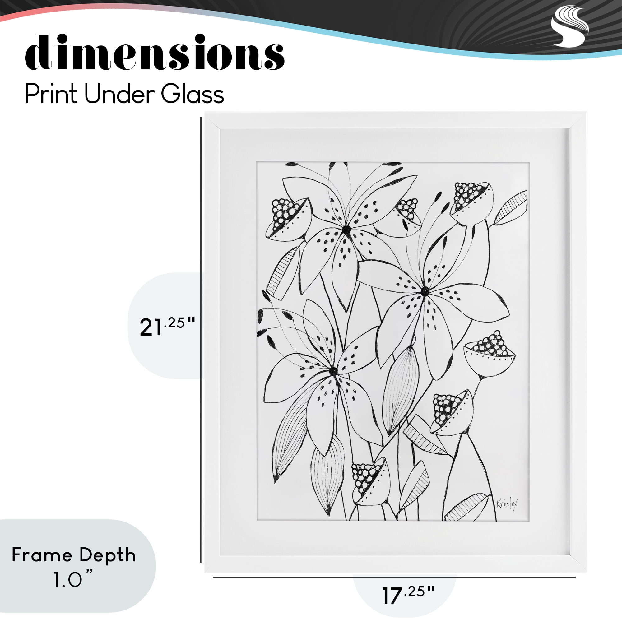 Stupell Industries Open Blooms Outline White Framed Print Under Glass, design by Krinlox