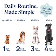 Veterinary Formula Smart Vitality Dental Health Supplement for Dogs, 60 Soft Chews