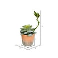 thumbnail image 2 of Vickerman Set of 4 Assorted 7" Artificial Potted Succulents, Set of 4, 2 of 3