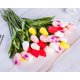 thumbnail image 3 of Ludlz - 5 tulipanes artificiales de tacto real, tulipanes de poliuretano holandés falsos, ramo de flores de látex para bodas, fiestas, oficinas, hogar y cocina., 3 of 8