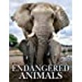 thumbnail image 1 of Endangered Animals, 1 of 1