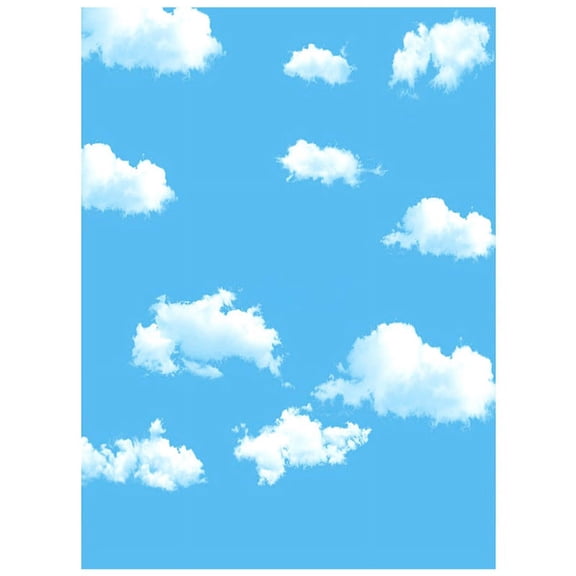 3x5ft Blue White Cloud Photography Backdrop Screen Background Props