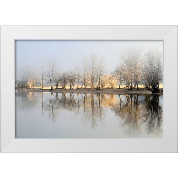 Bor 14x11 White Modern Wood Framed Museum Art Print Titled - january morning