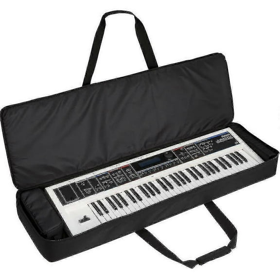 61-Key Electric Keyboard with Black Protective Case and Padded Carry Bag