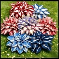 thumbnail image 4 of "Good Luck" Hosta Cultivation Granules — Organic, Non-GMO, Perennial Ornamental Plant. Easy to cultivate; includes comprehensive post-purchase guidance, making it ideal for beginners.500-1500Pcs, 4 of 8