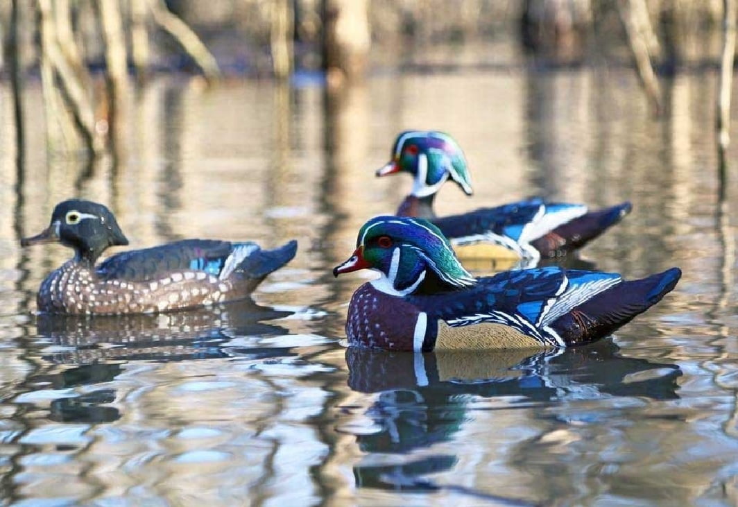 Dakota Decoy X'Treme Floating Wood Duck Decoys 6 Pack w/ 3 Drakes and 3