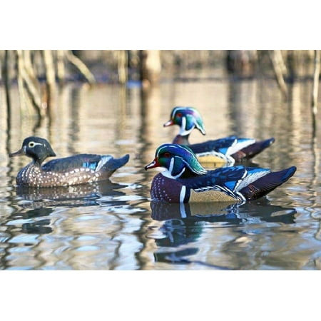 Dakota Decoy X'Treme Floating Wood Duck Decoys 6 Pack w/ 3 Drakes and 3