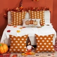 thumbnail image 6 of Fall Pillow Covers 18x18 inch Set of 2 Fall Decoration Pumpkin Decor White Autumn Outdoor Pillow Cover Thanksgiving Decoration for Home Couch TH-120A18, 6 of 6
