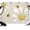 Off-White, variant on White Daisy Honeybees Backdrops for Photography, Farmhouse Floral Vintage Minimalist Fabric Photo Background Sturdy Studio Props for Photo Studio, Video Recording, Booth & Photoshoot 7x5ft