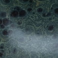 thumbnail image 5 of Large Kambaba Jasper Bowl (80.6 lbs), 5 of 5