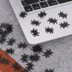 thumbnail image 4 of LetCart 500 Piezas Parche De Halloween Tela No Tejida Parche Decorativo Festival Accesorio De Confeti De Broma(Araña), 4 of 5