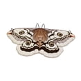 thumbnail image 2 of Capa de mariposa para Halloween, disfraz versátil y cómodo de alas de mariposa para Halloween. café 145cm, 2 of 9