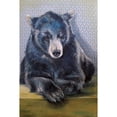 thumbnail image 3 of Kamdon Kreations 11x14 Black Modern Framed Museum Art Print Titled - Black Bear, 3 of 5