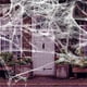 thumbnail image 1 of Decoraciones de Halloween de 40 Pies Cuadrados, Telaraña Elástica con Telarañas de Plástico Falsas, Decoración de Halloween para Exteriores., 1 of 7