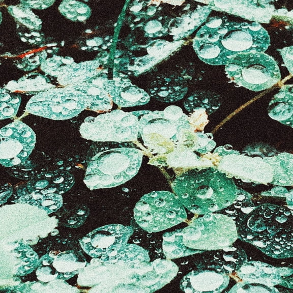 Sadness - Rain Chamber - Music & Performance - CD