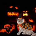 thumbnail image 2 of Conjunto de disfraz de gato, alas de murciélago, sombrero de mago, capa, disfraz de mascota de Halloween de 2 piezas, disfraz de cachorro de gato, fiesta de calabaza de Halloween, Cosplay Sailing  Electrónica, 2 of 5
