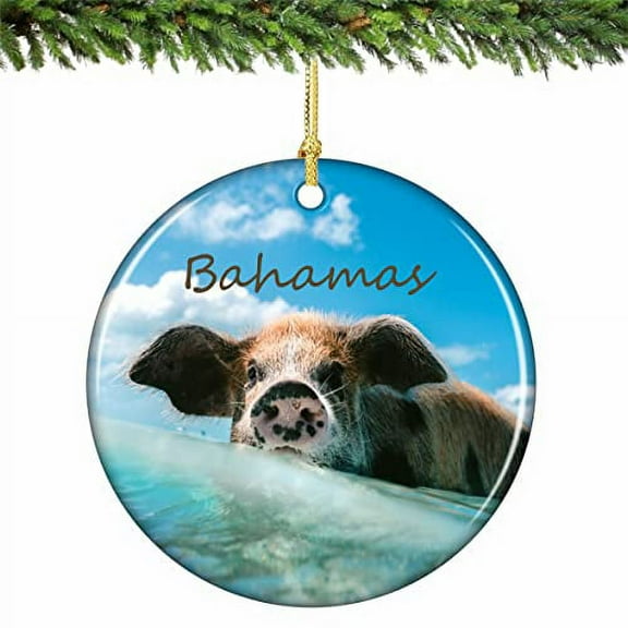 Bahamas Swimming Pig Christmas Ornament Porcelain 2.75 Inches
