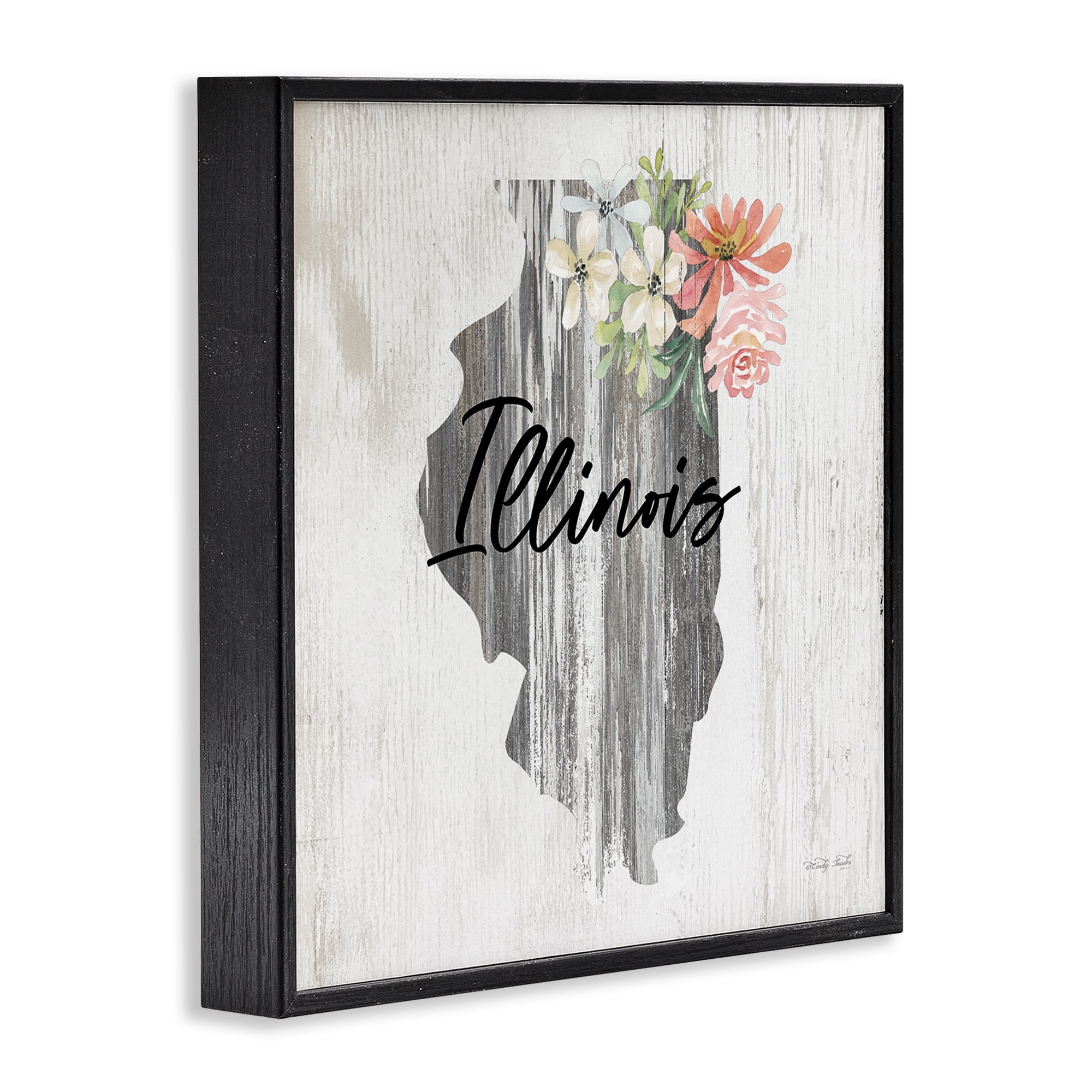 Stupell Industries Shabby Chic Illinois Botanical & Floral Painting Black Framed Art Print Wall Art, 24 x 24