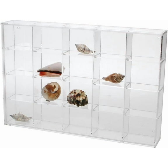 Seashell Display Case - Medium 20 Compartments