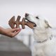 thumbnail image 2 of Juguetes masticables para perros Benebone Fishbone/Wishbone, paquete de 2 unidades, tamaño grande, 2 of 7