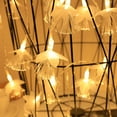thumbnail image 4 of Fiber optic String 30 Led 15FT Warm Lights Fairy Ramadan Xmas Wedding Decoration, 4 of 5